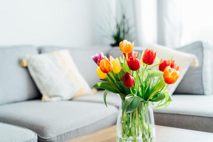 Adding value to your home this spring